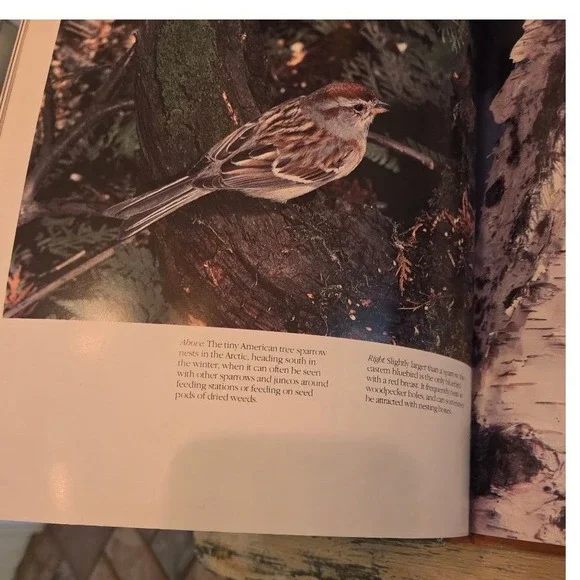 Birds of North America Peter N Casey Exeter Books Hardcover Photography Book - Picture 5 of 7